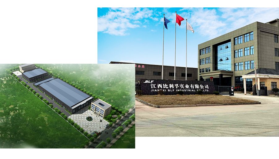 Jiangxi BLiF Industrial Co., Ltd.